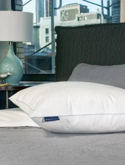 Marea-Alcalina-ImagesGjj6cRazUzNii9UFaEKBeoxu41Q2SCr1AN1l6UxexNpfkM2h8ncq5i4efic