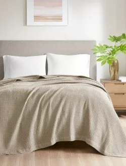 Marea-Alcalina-ImagesGjj6cRazUzNii9UFaEKBeoxu41Q2SCr1AN1l6UxexNpfkM2hkg8t4hxnvyr